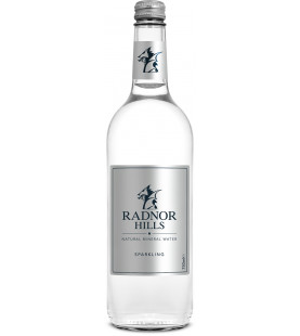Radnor Hills Premium Glass 750ml Sparkling Mineral Water